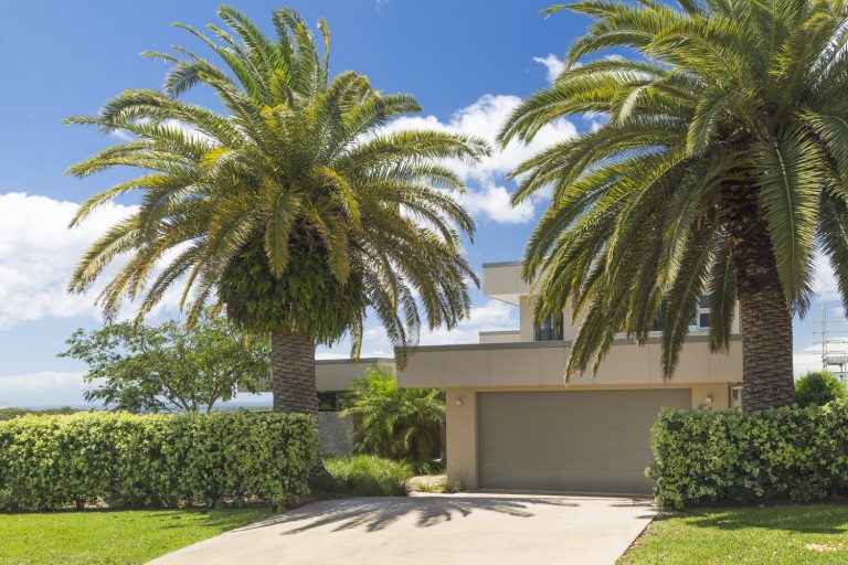 37 Eastern Valley Tallwoods 1min Waylyn Homes